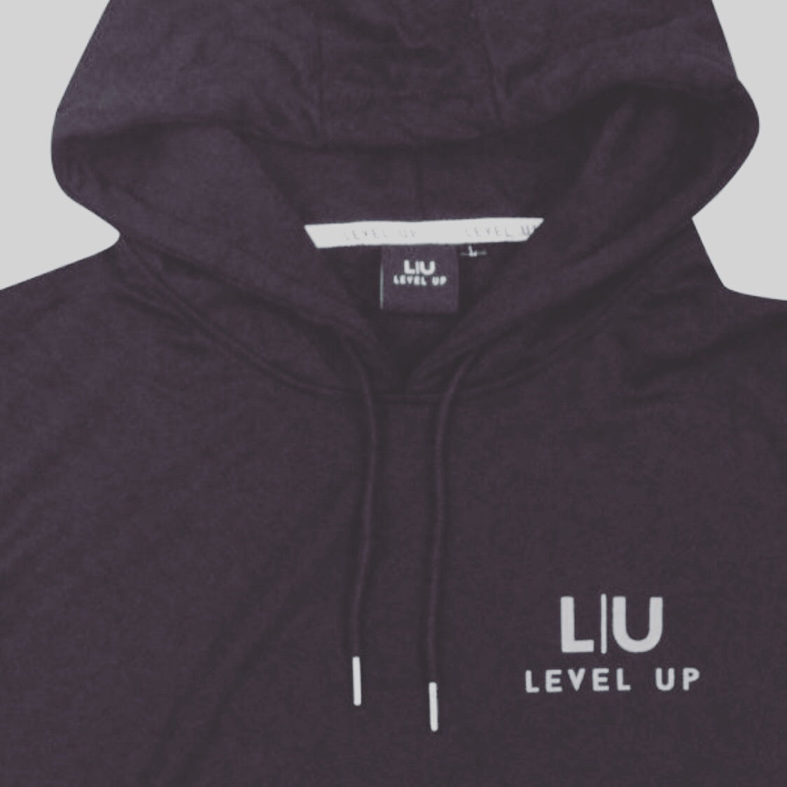 Level Up Landmark Hoodie